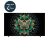 טלוויזיה חכמה Premium QD-MiniLed 55" 4K TV סדרת C61K מבית TCL