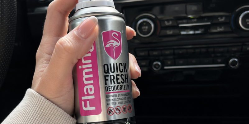 ספריי Quick Fresh מנטרל ריחות לרכב 220 מ"ל Flamingo